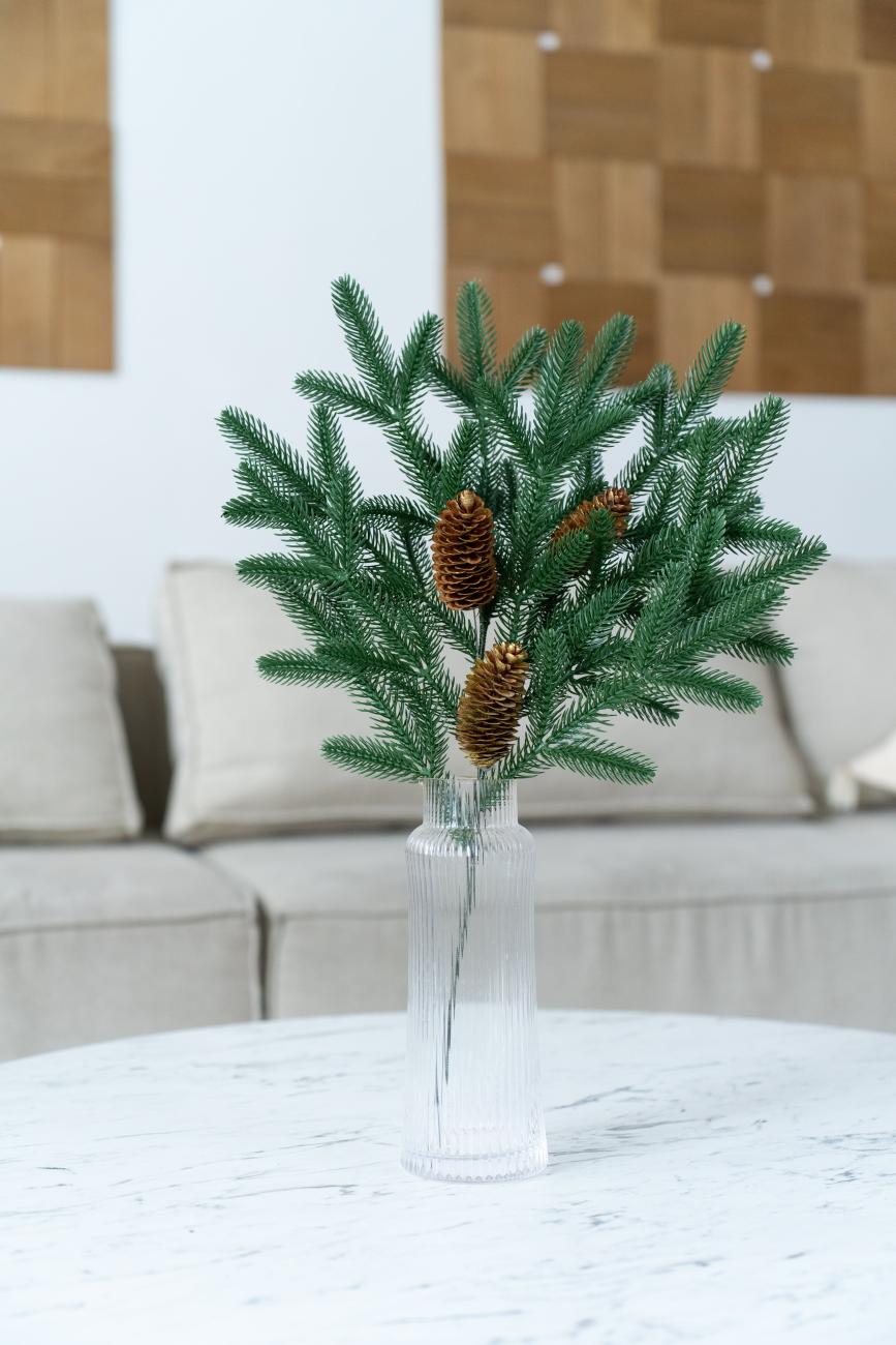 Ветви/Ветки